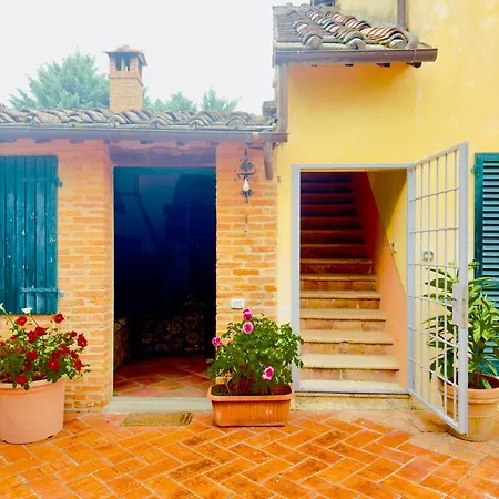 Tuscany Cardella *